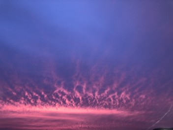 梅雨が明けましたね！